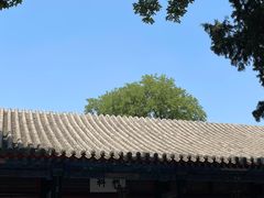 -保定直隶总督署博物馆