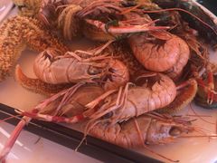 -威海蓝海御华大饭店·蓝钻美食自助百汇