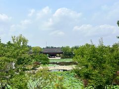 -上海滨江森林公园