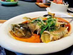 -怡情荟•海鲜青岛菜(五四广场旗舰店)