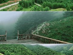 -苏木山森林公园