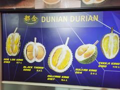 -都念榴莲·城市榴莲