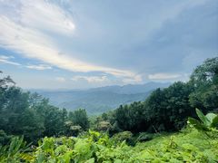 -广州市石门国家森林公园
