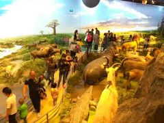 -陕西自然博物馆