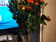 -双季花艺园艺市场(浦东店)