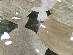-四海鲜渔家菜(黄金海岸店)