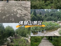 -佛慧山