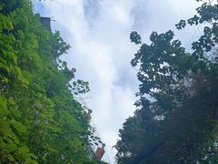 -星巴克(广州淘金路店)