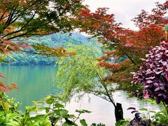 -桃花岭景区