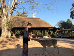 -清迈夜间动物园