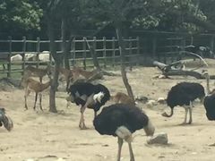 -西安秦岭野生动物园