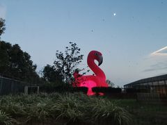 -太阳岛度假酒店