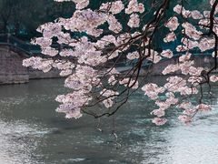 -红星桥(地铁站)