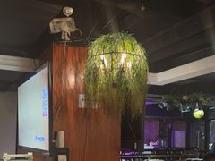 -麦凯伦烧烤·精酿超级工厂店(金桥总店)