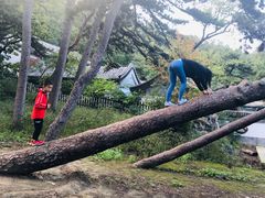 -阳台山自然风景区