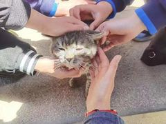 -长辛店二七公园