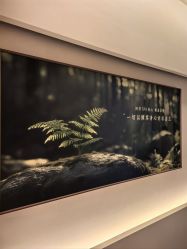 -普洛蒂亚·科技美肤中心