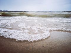 -瑶湖郊野森林公园