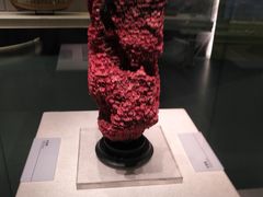 -上海中国航海博物馆