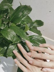 -OAE日式皮肤管理お肌の