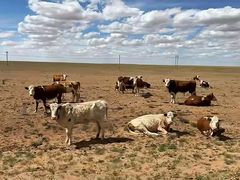 -塞罕坝国家级自然保护区