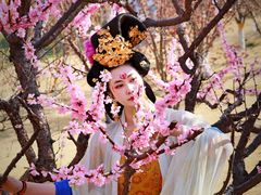 -翩若国风汉服体验馆