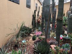 -正佳雨林生态植物园