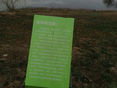 -白鹭湾湿地公园