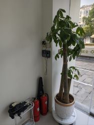 -苗方清颜专业祛痘·皮肤管理