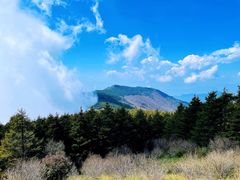 -白草畔自然风景区