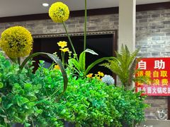 -菌之家·专业纯野生菌火锅·特色炒菌