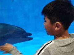 -华夏文旅海洋公园