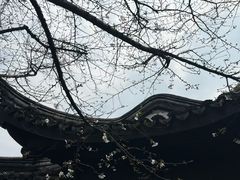 -巡塘古镇