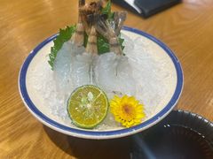 甜虾刺身-赤稻·日式料理(禅城店)