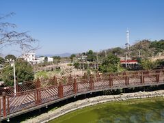 -泉州海丝野生动物世界