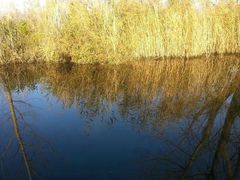 iphone_upload_pic-西昌邛海湿地