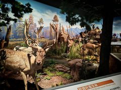 -陕西自然博物馆