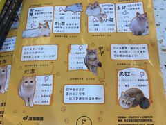 -滚猫咖啡·猫咖·猫友好撸猫(未来城店)