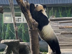 -南昌动物园