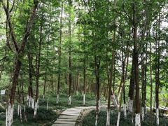 -桤木河湿地公园