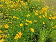 -盘龙城国家考古遗址公园