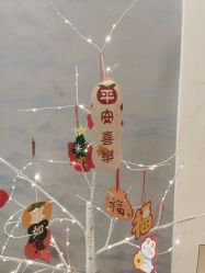 -Fanni美甲美睫皮肤管理