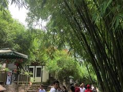 -五凤溪古镇