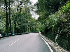 -南山植物园