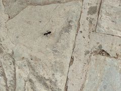 -北京天湖会议中心