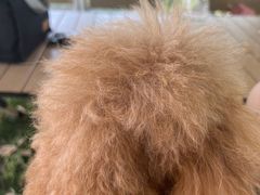 -不觉晓CAMPING(上海迪士尼营地店)