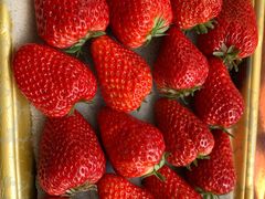 -果蔬好生活超市(乐堤港店)