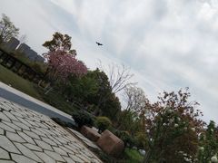 -钱江新城灯光秀