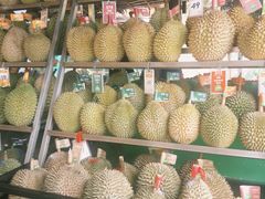 -榴莲BB 四季果园