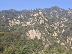 -大岭沟猕猴桃谷风景区